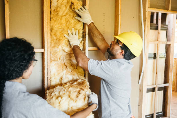 Best Insulation for New Construction  in Barberton, OH