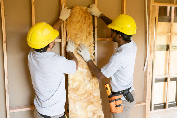 Best Attic Insulation Installation  in Barberton, OH