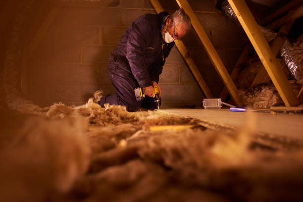 Best Local Insulation Services  in Barberton, OH